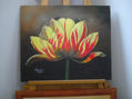 TULIPAN
