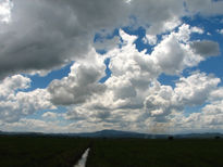 Cultivo de Nubes