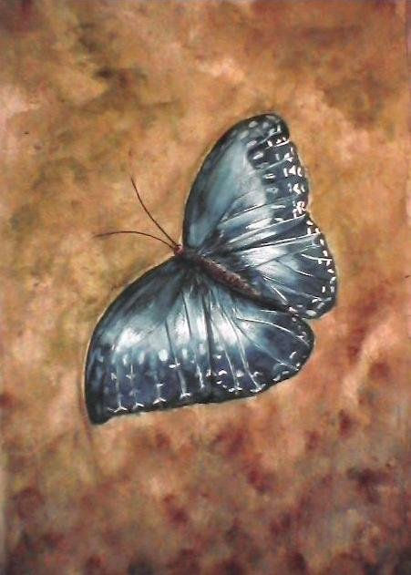 MORPHO AZUL