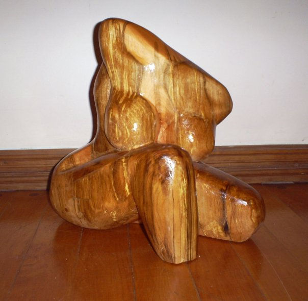 torso