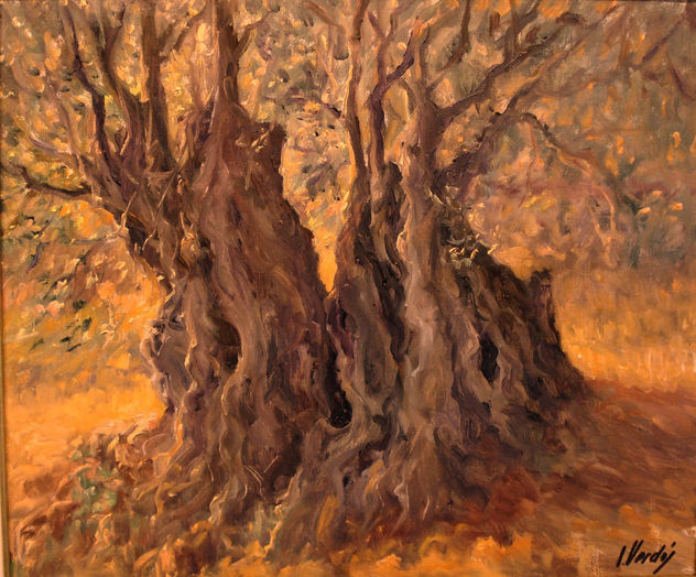 OLIVO A LA PUESTA
