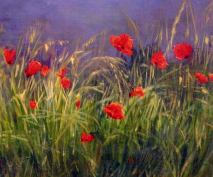 Amapolas