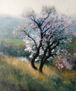 ALMENDRO EN FLOR