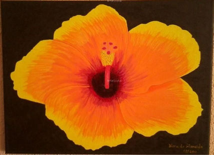 Hibiscus tropical