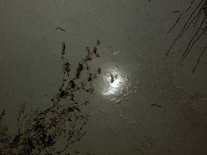 Reflejo 2