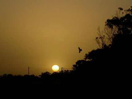 Sol