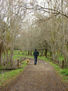 caminante