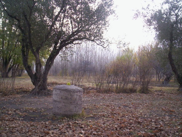 Piedra en el camino 