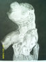 Dibujo a pastel del torso de B.