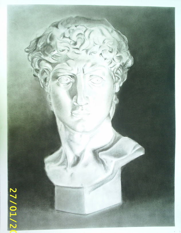 Dibujo de la cabeza del David