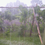 San Rafael, Mendoza (1) thumbnail 2