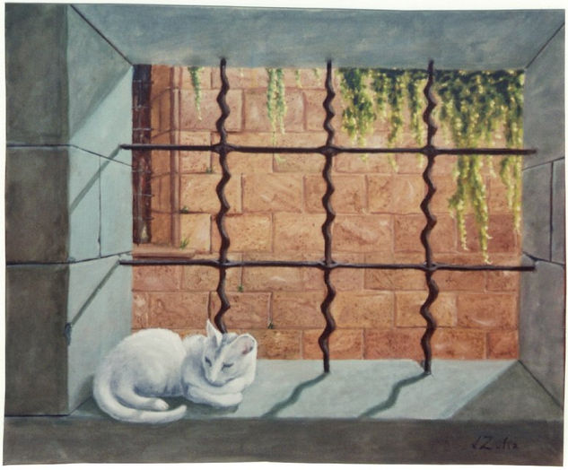 Gato al sol Oil Canvas Animals