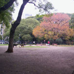 Mi Buenos Aires querido thumbnail 1