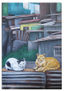 Gatos y casas