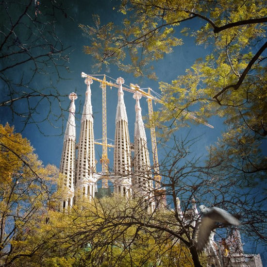 La Sagrada Familia Architecture and Interiorism Color (Manual)