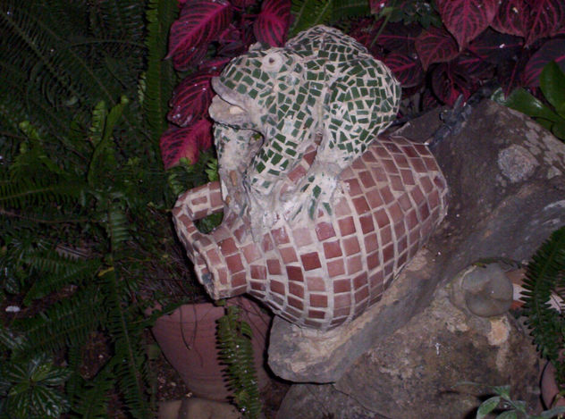 el cantaro y el sapo