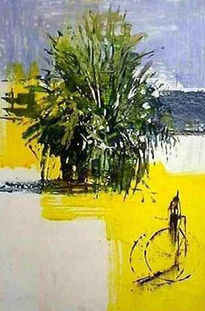 Palmera y ciclista