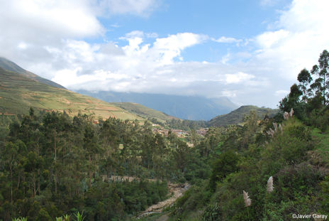 Paisaje coronguino