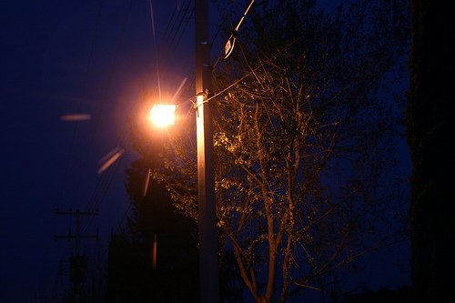 luz de la calle 