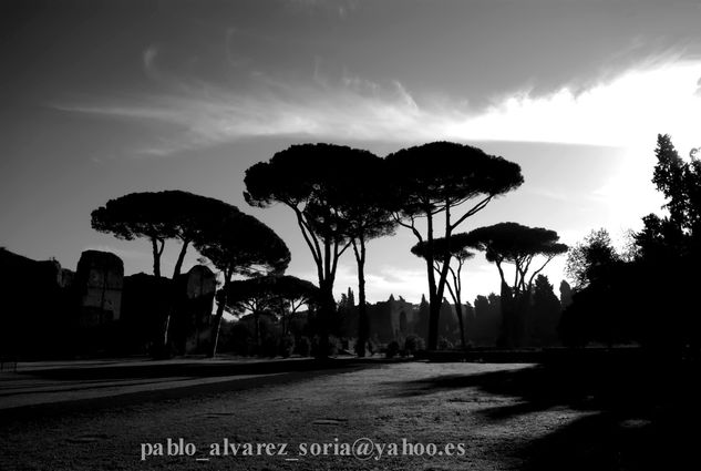 TERMAS DE CARACALLA 2 