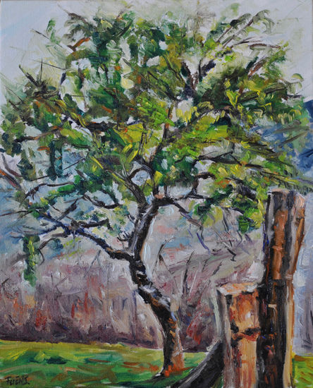 Arbol Óleo Tabla Paisaje