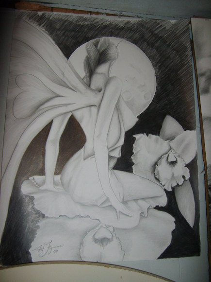 mariposa