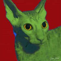 Gato verde