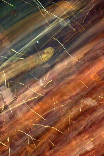 Blur 02 Conceptual/Abstracto Color (Digital)