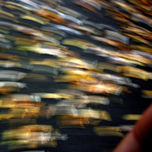 Blur thumbnail 1