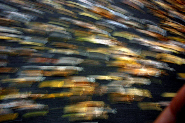 Blur 01 Conceptual/Abstracto Color (Digital)