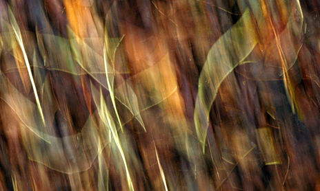 Blur