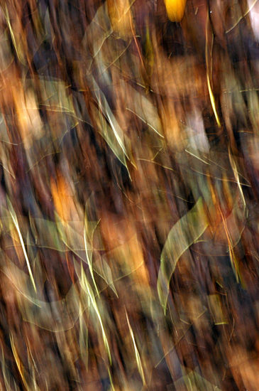 blur 03 Conceptual/Abstracto Color (Digital)