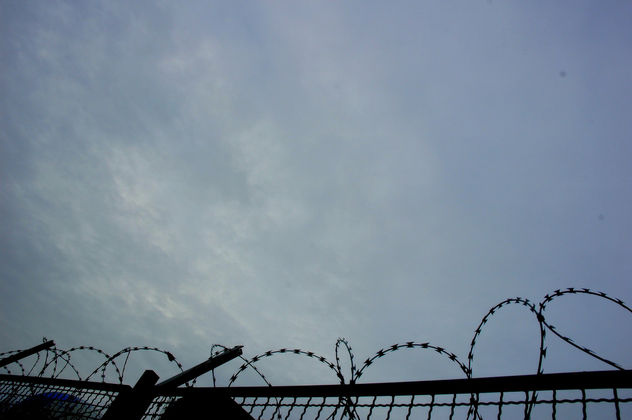 freedom