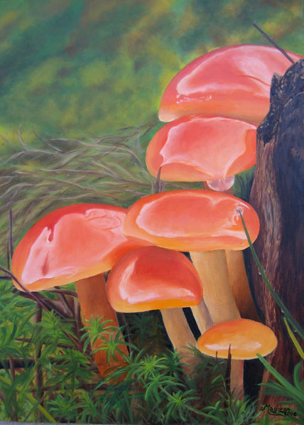 Flamulina Velutipes