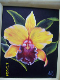 Mi orquidea