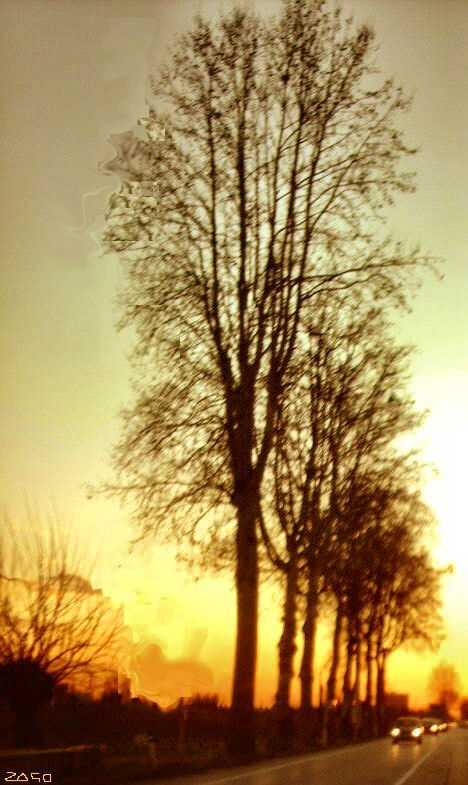 il viaggio 3