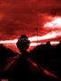 rosso crepuscolo
