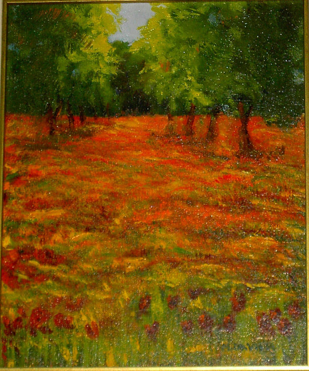 CAMPO DE AMAPOLAS