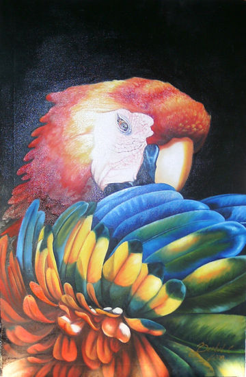 Guacamayo Oil Canvas Landscaping