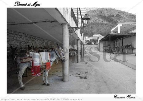 Recuerdo de Mijas