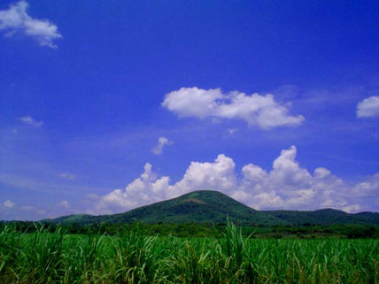 La Sauzeda