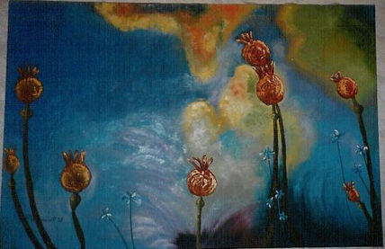 Amapolas al despertar