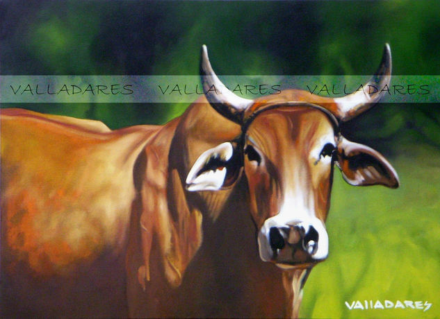 Buey II Oil Canvas Animals