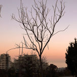 PAISAJE URBANO thumbnail 2