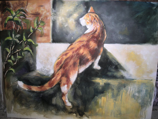 gato.