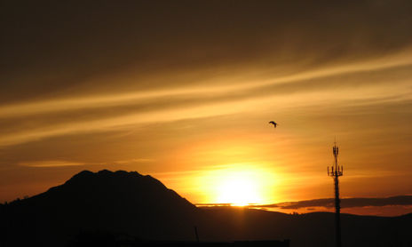 MIS FOTOS