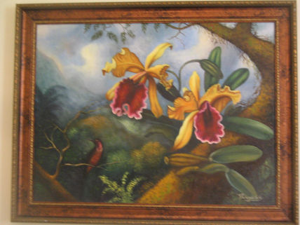 Orquideas amarillas