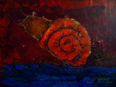 caracol y noche de...