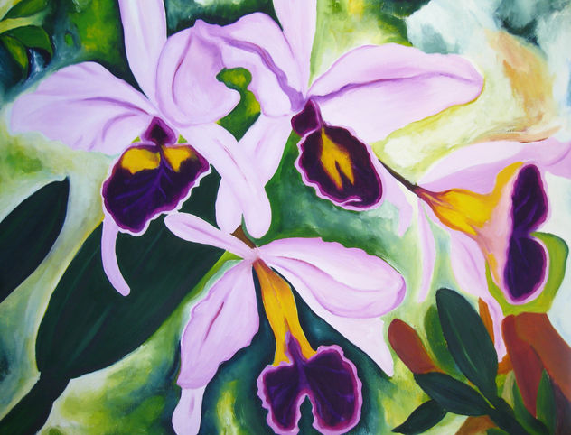 FLOR DE MAYO