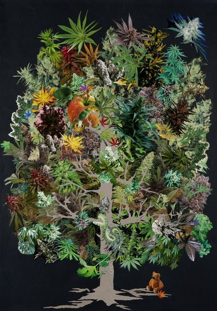 ARBOL de La CIENCIA..